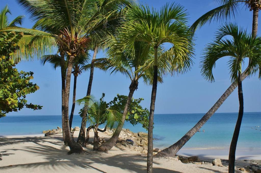 Siboney Beach Club St. John's Eksteriør billede
