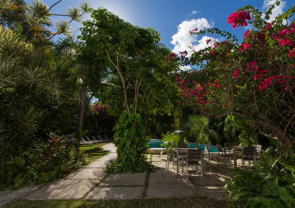 Siboney Beach Club St. John's Eksteriør billede
